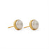 14th Wedding Anniversary Pearl Gold Studs