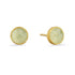 50th Wedding Anniversary Prehnite Stud Earrings