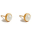 June Birthstone Moonstone Stud Earrings