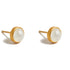 50th Wedding Anniversary Moonstone Stud Earrings